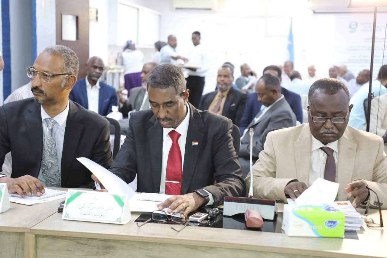 ورشة بالخرطوم لتعزيز الشبكات الصغيرة للطاقة الشمسية في السودان