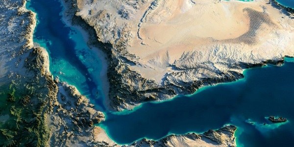 صورة داخل التقرير