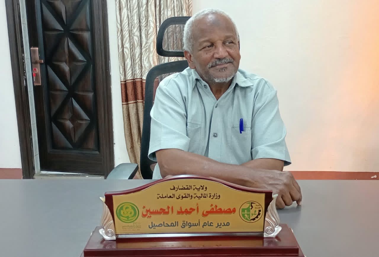 سمسم القضارف.. كميات كبيرة من المحصول الجديد تدخل أسواق المدينة
